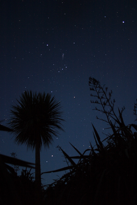 Orion Constellation