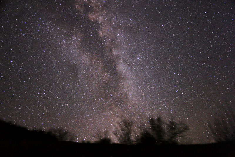 Milky Way Horizon Looking North