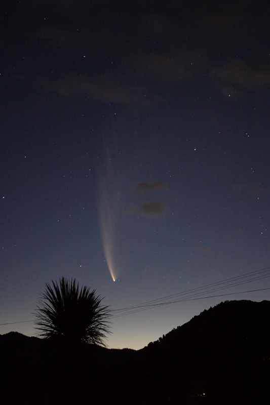 Comet McNaught Image