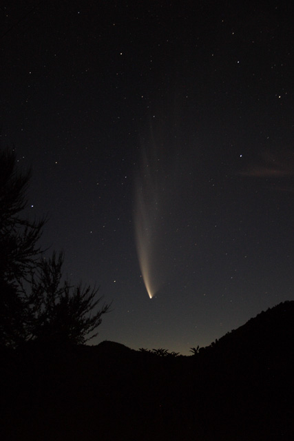 Comet McNaught Image